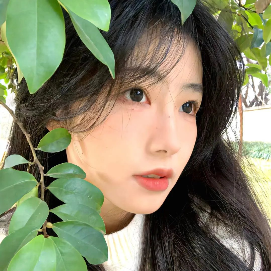 如果历史是一群喵第一季